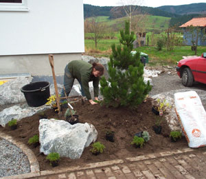 Jetzt ist Pflanzzeit!